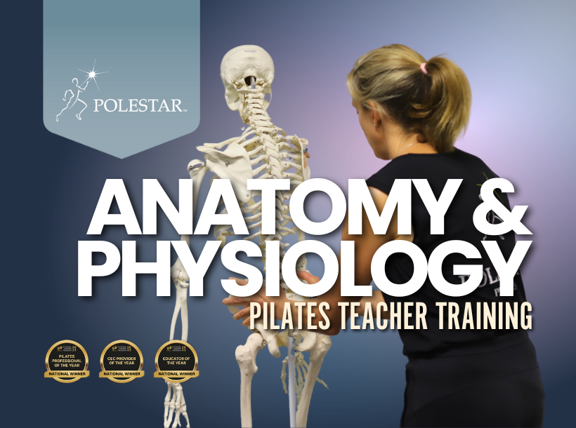 Pilates Anatomy & Physiology Teacher Training Course